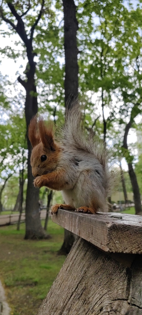 Разбавить текст немного)