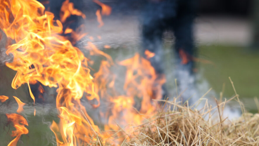    Фото: KazanFirst