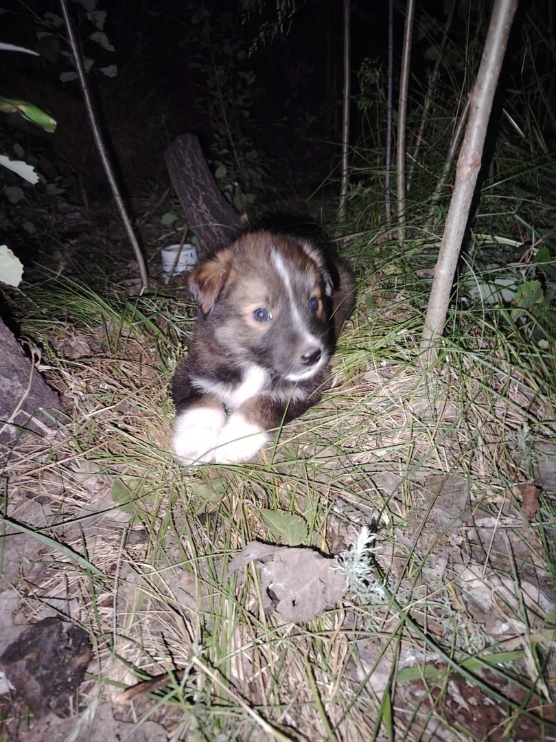 Легко перевернуть страницу, пролистать этот пост не глядя, когда не видишь воочию 