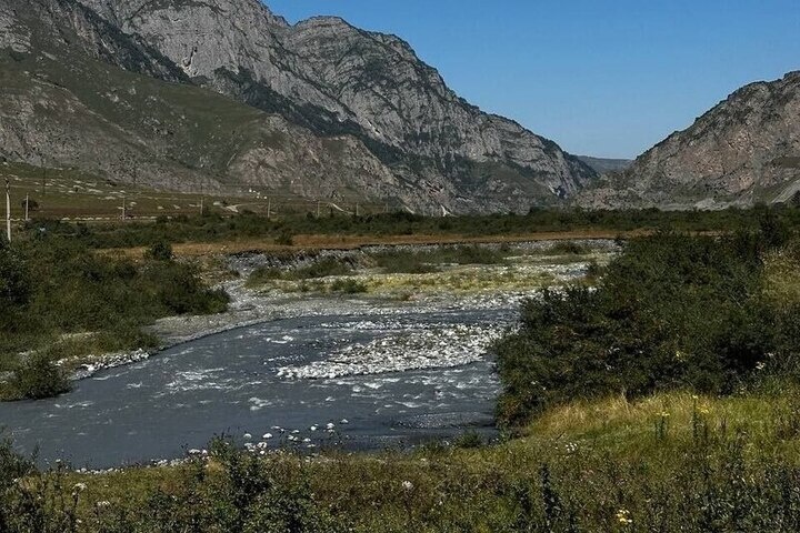 В Северной Осетии медвежонка, принесенного рекой на базу отдыха, кормят кашей и фруктами