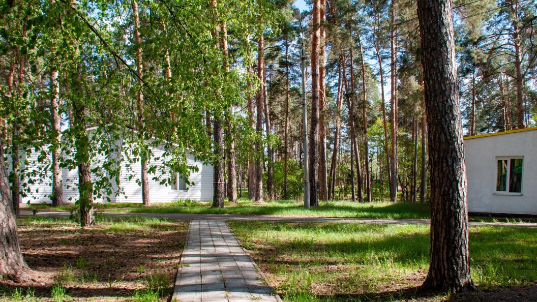    Svetlana Vozmilova/Global Look Press