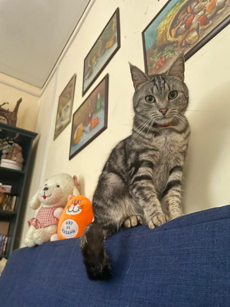 Мой верный Страж!