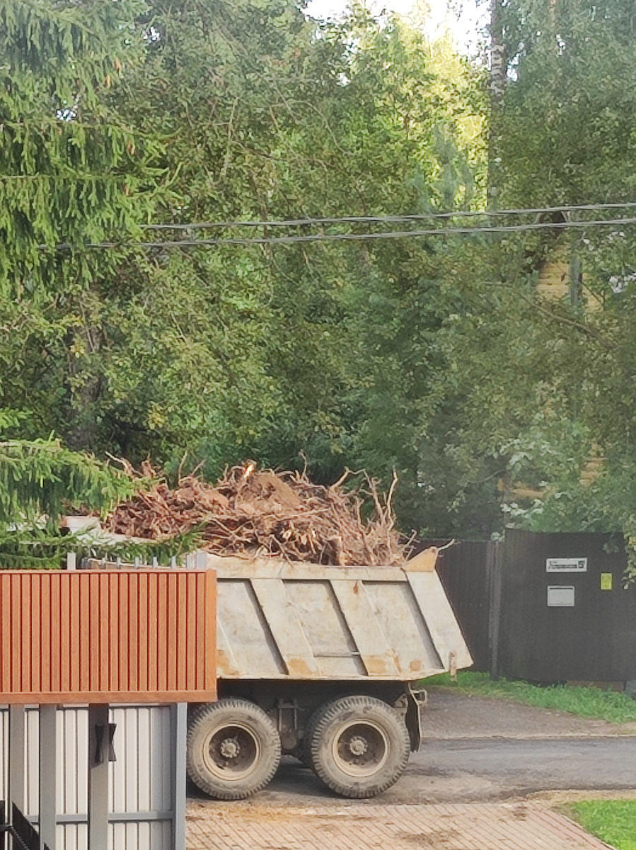 Машина вывозит пни и корни