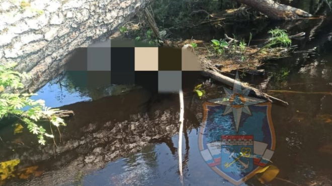 Фото: Аварийно-спасательная служба Ленинградской области