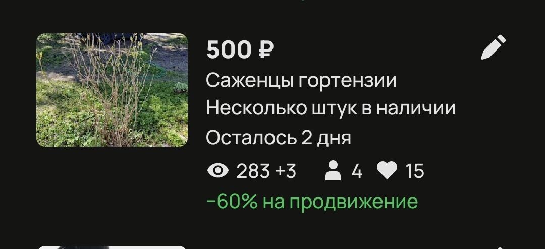 Излишки гортензии тоже пошли на продажу