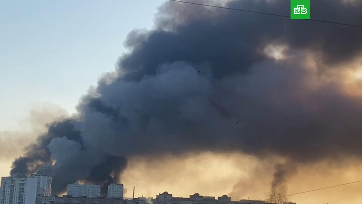    Фото: соцсети