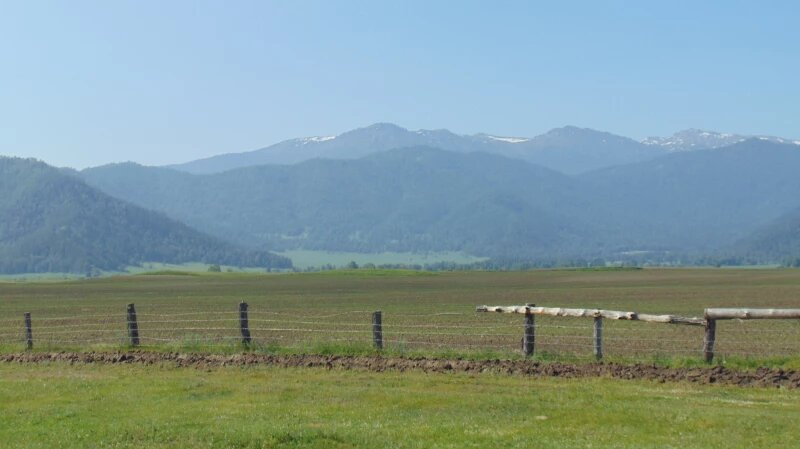 Между гор, «йожиков» и легенд Рериха. Путеводитель по затерянному миру Уймонской долины
