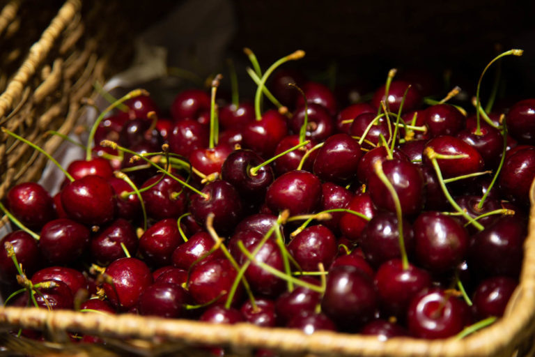    Фото: Общественная служба новостей Александра Горохова