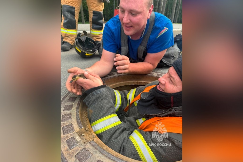    Фото © Telegram / МЧС Санкт-Петербурга