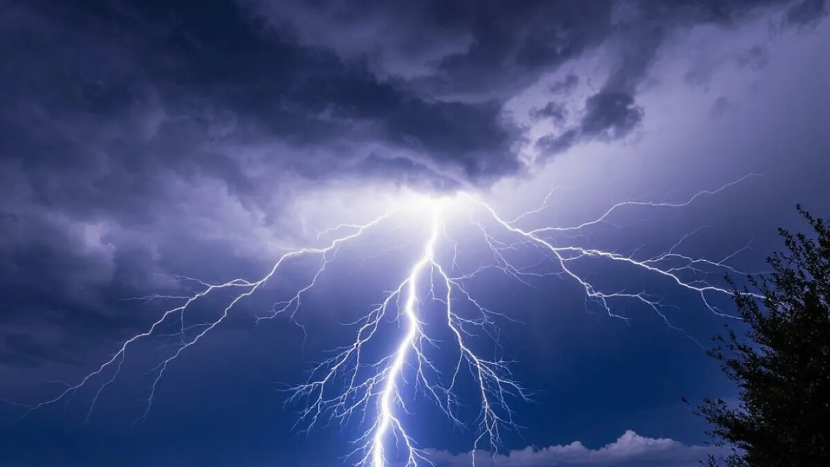    Сгенерировано ИИ