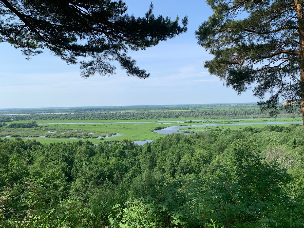 Вид с горы на пойму Иртыша