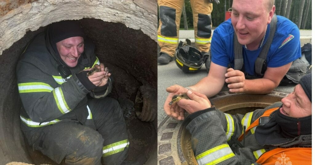 Фото: пресс-служба ГУ МЧС России по Петербургу