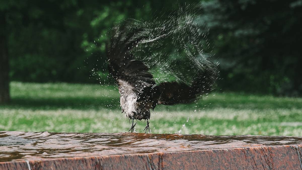    Фото: Екатерина Алексеева / Вечерняя Москва