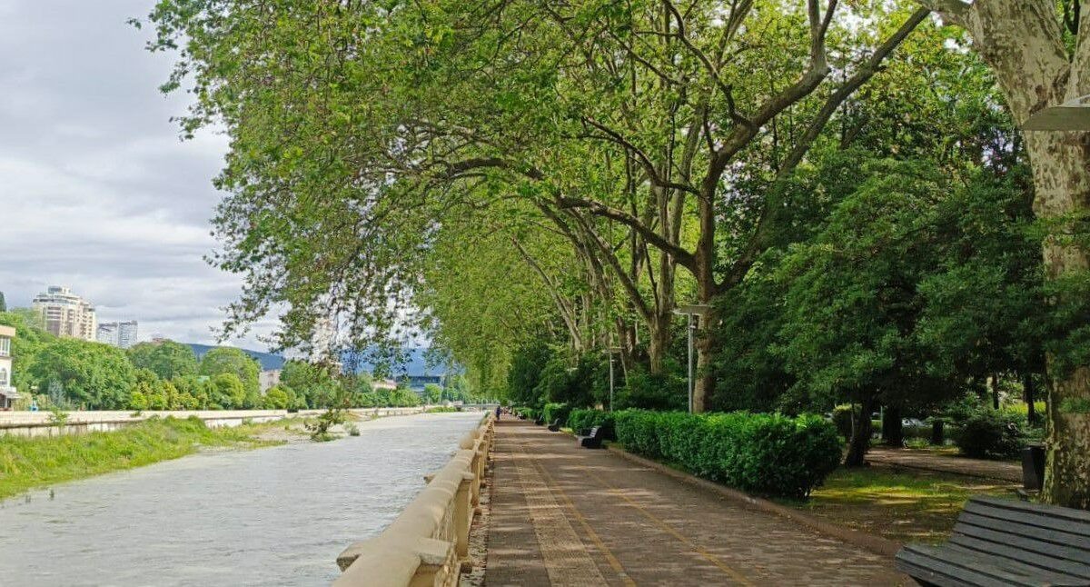    Фото t.me/officialsochi