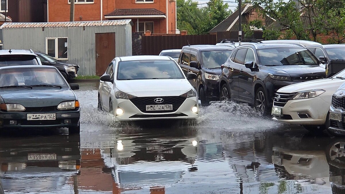     Автор: KubanPress