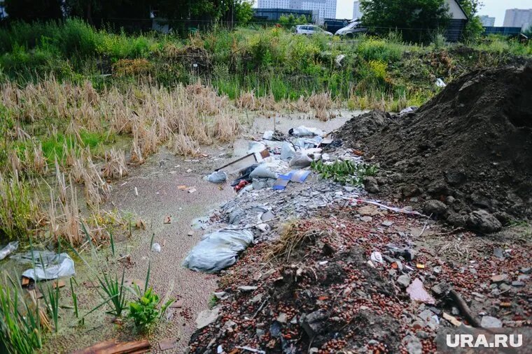 В этом болоте почти утонул ребенок. Фото: Никита Сабашников © URA.RU