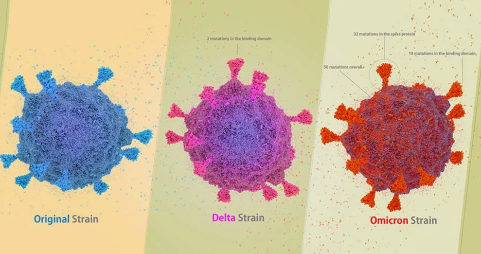 Источник: web.musc.edu