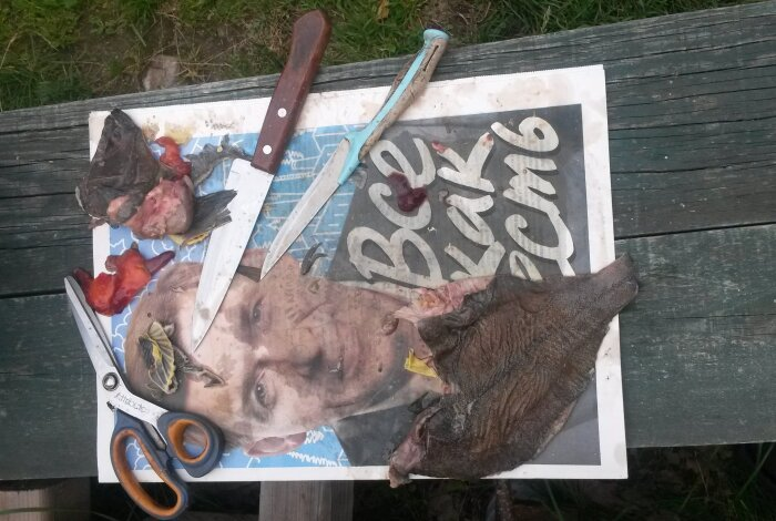 Вместо фотографии врача, чья вина ещё никем не доказана, помещаем вполне камчатский натюрморт с камбалой / Фото: Vostok.Today