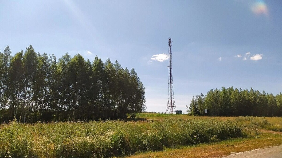     Источник: 1MI