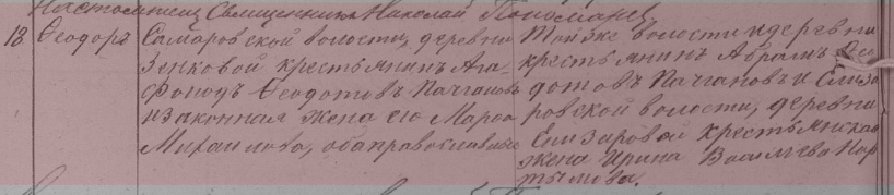 Фрагмент метрической книги. Метрическая книга Селияровской Успенской церкви (1876-1882; 1884-1887) ф.И1, оп.1, д.15 Церковь: Селиярово Успенская