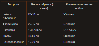 Обрезка роз