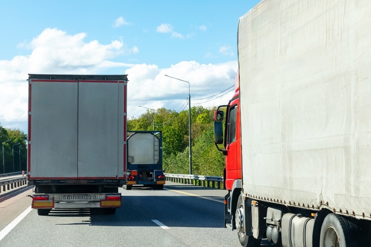 Фото: © Ирина Михайличенко / Фотобанк Лори