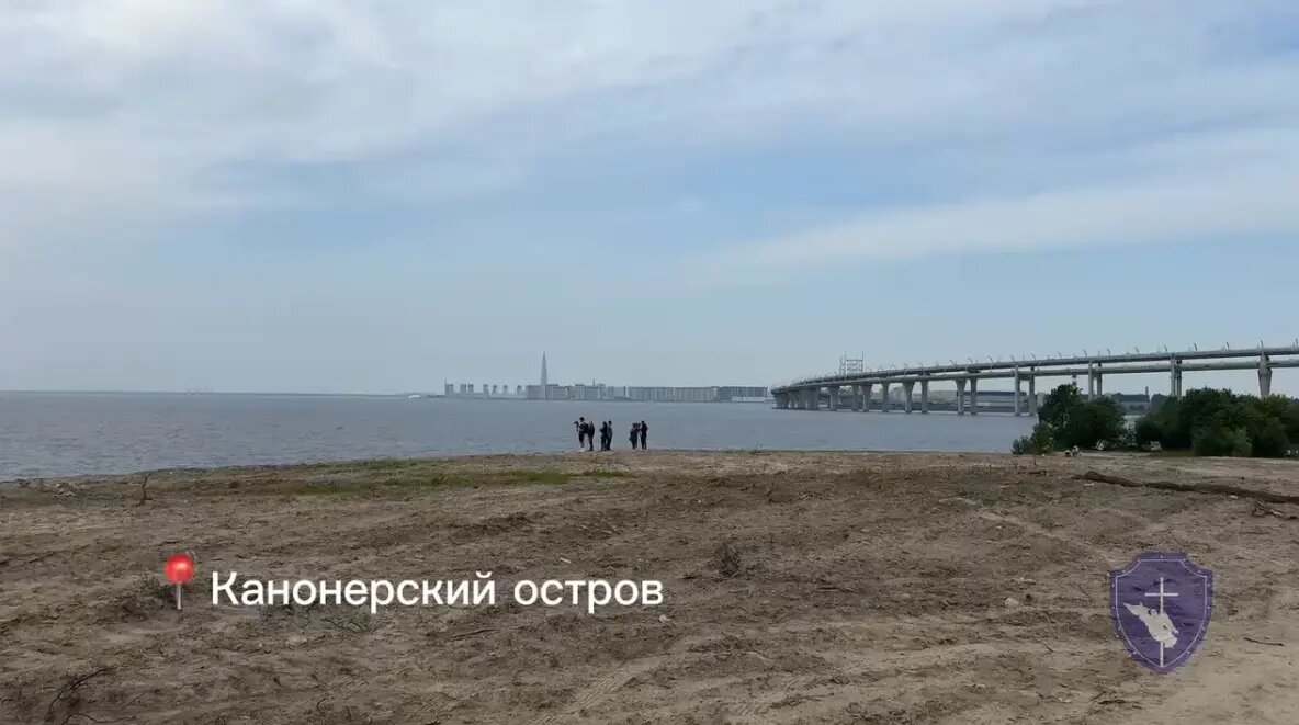    Фото: кадр видео комитета по вопросам законности, правопорядка и безопасности Петербурга