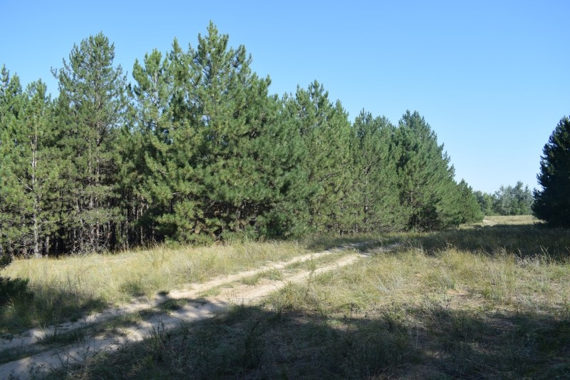    Фото Елены Врублевской admin