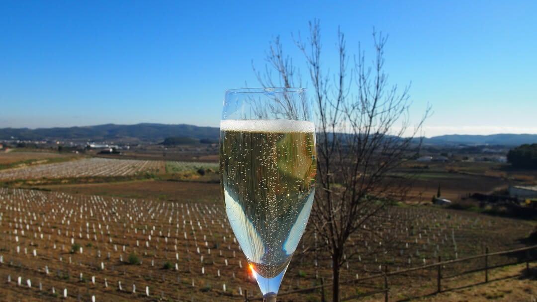 Фото производителя Mont Marcal