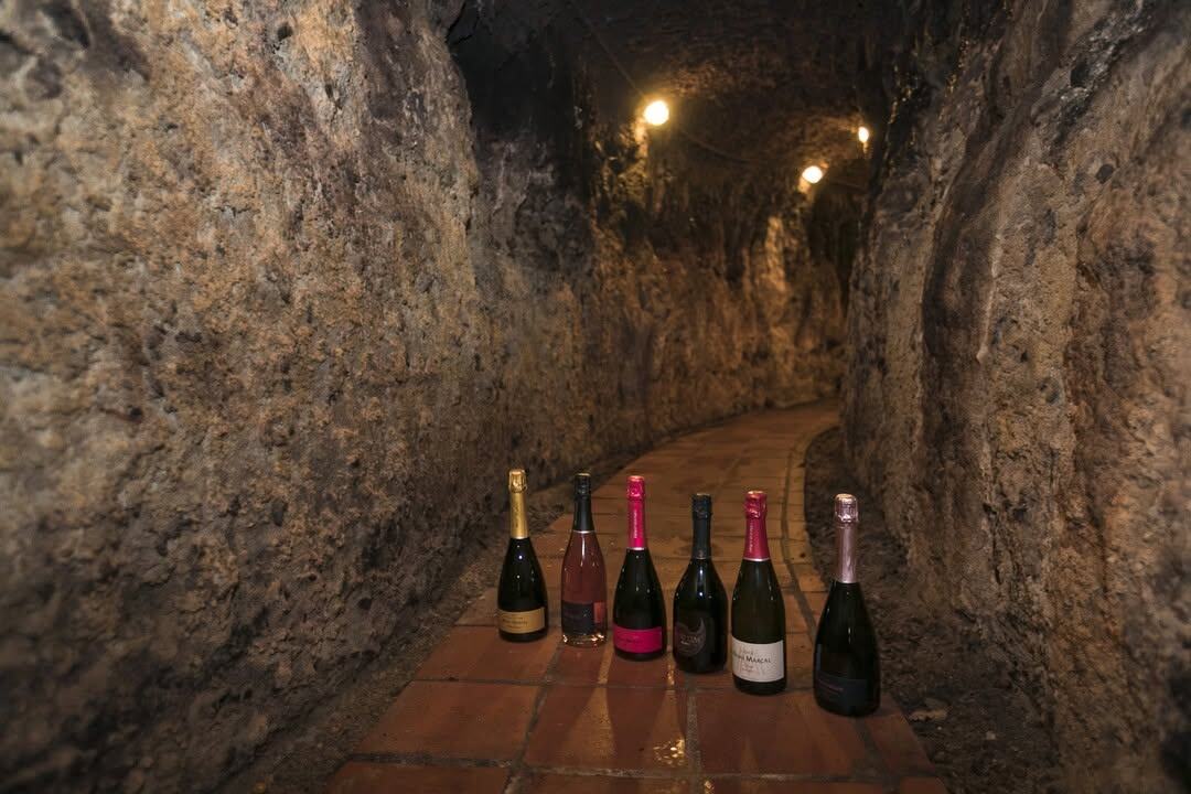 Фото производителя Mont Marcal