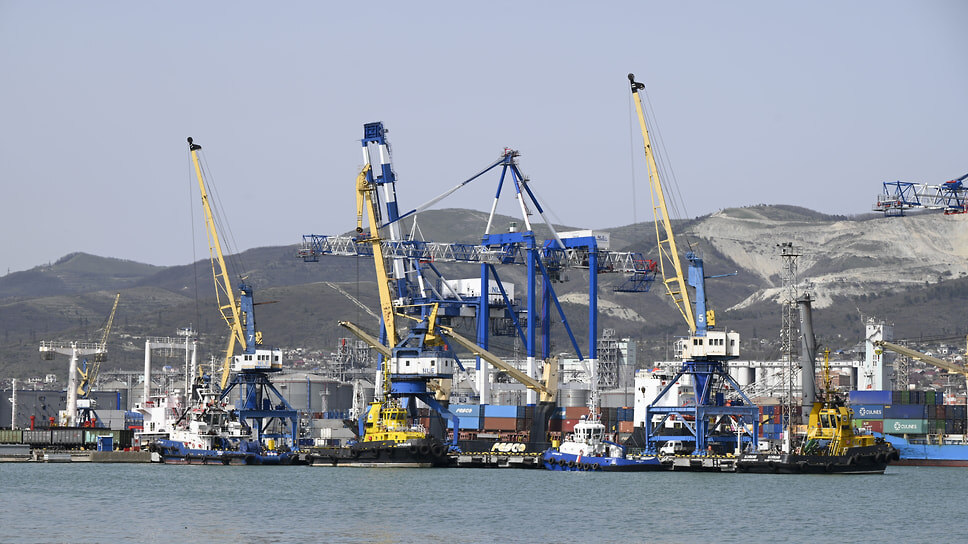 Фото: пресс-служба МО город-герой Новороссийска