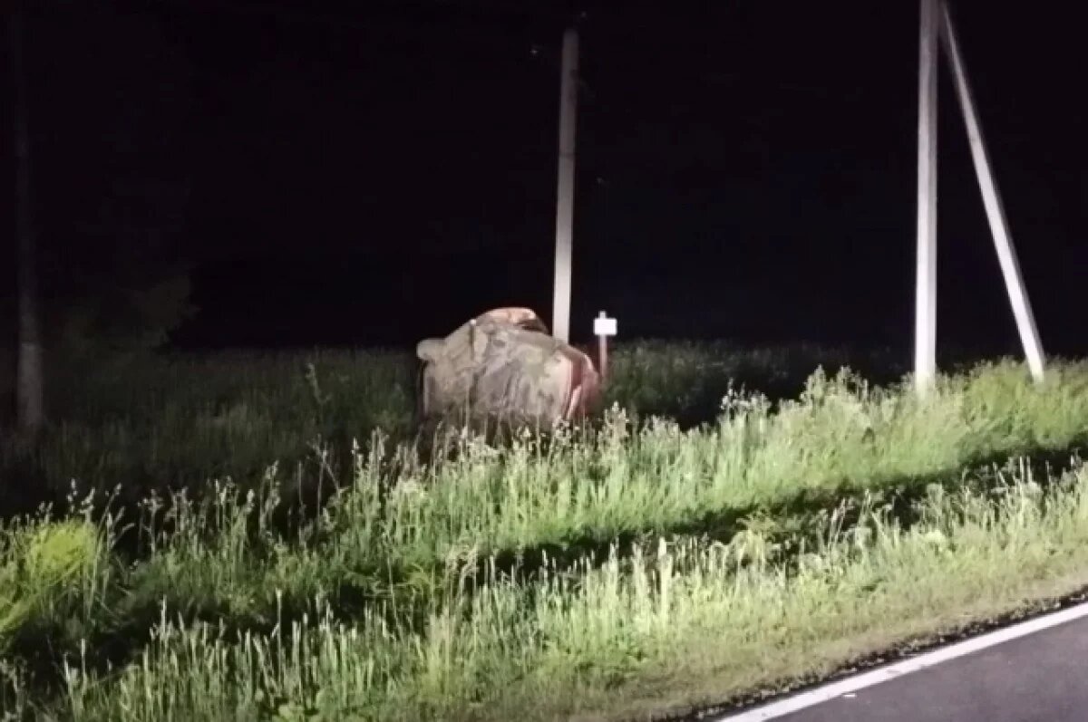    Водитель не справился с управлением и влетел в железобетонный столб