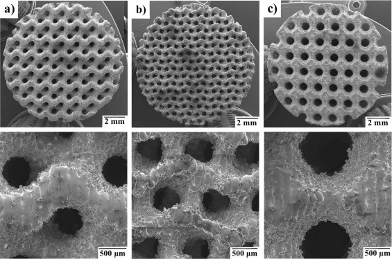 Для определения влияния сетчатых структур на упругость импланта инженеры изготовили образцы с различными ячейками типа гироид, сплит и шварц. Источник фото: https://doi.org/10.1016/j.jallcom.2025.179682.