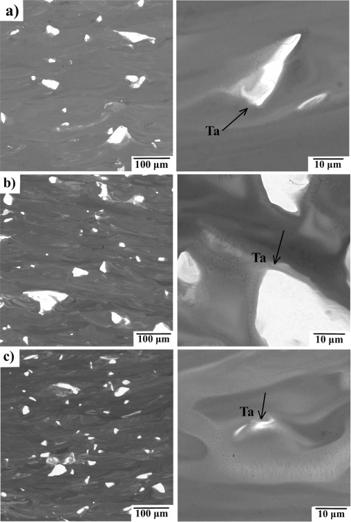 На рисунке видны частично расплавленные частицы тантала в титановой матрице. Источник фото: https://doi.org/10.1016/j.jallcom.2025.179682.