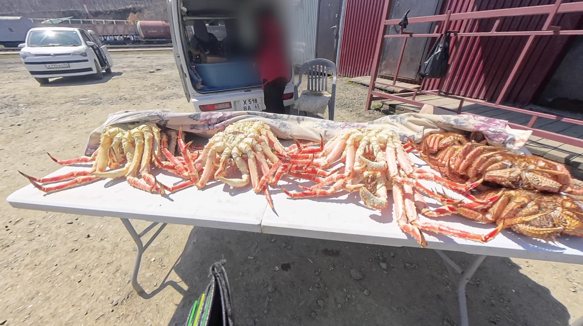 Продают туристам Камчатского краба 