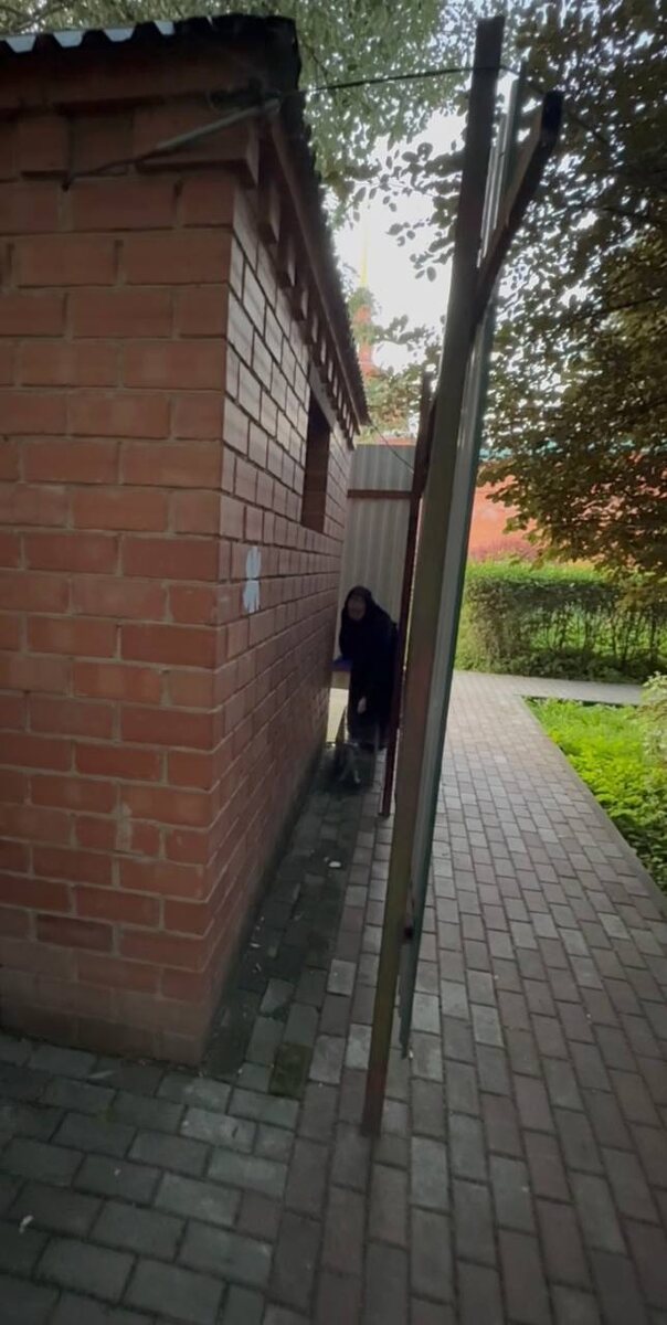 Вот в таком укромном месте все-таки поймались котята. Фото из архива автора