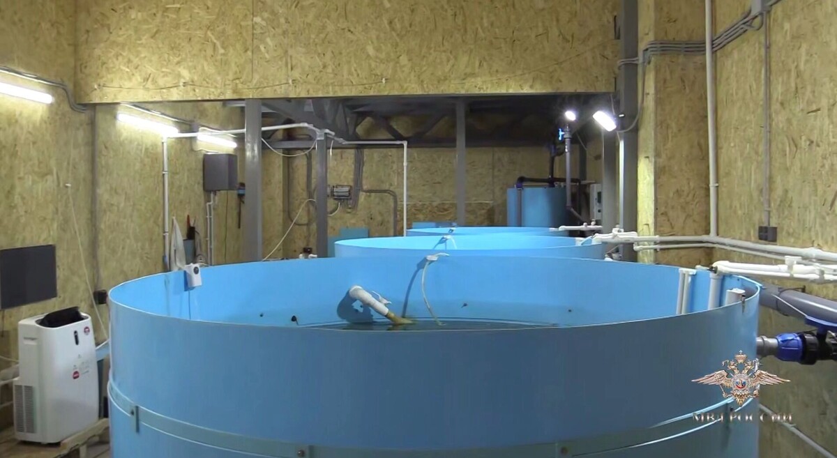     Источник: ГУ МВД по Волгоградской области