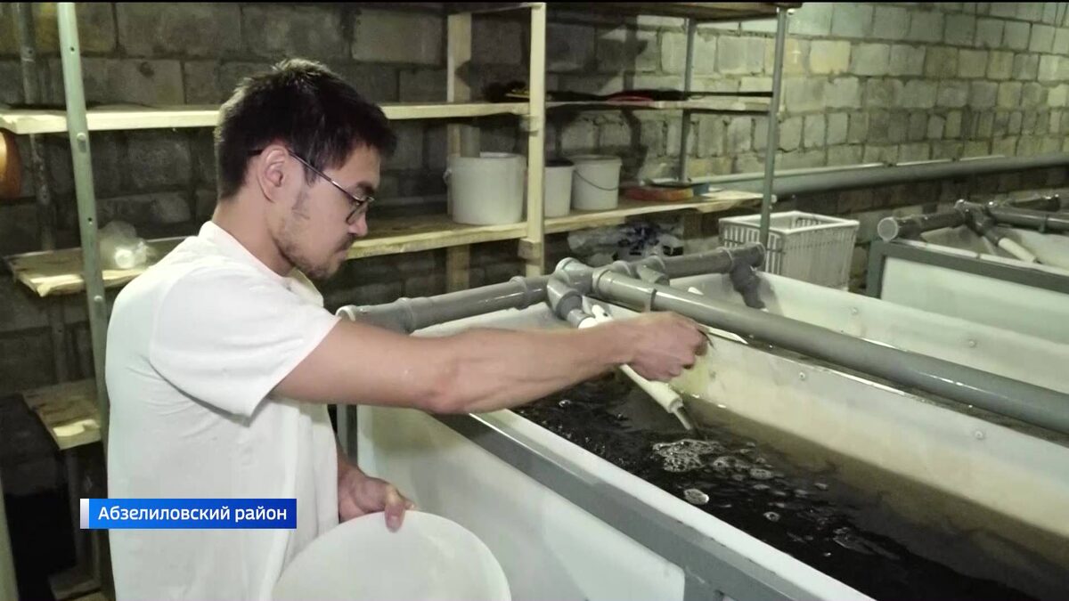    В Абзелиловском районе Башкортостана возродили рыбоводство и начали разводить форель