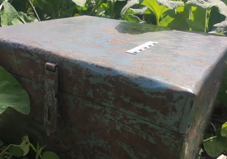    В Оренбуржье подростки украли у пенсионера металлический сундук с деньгами Оренбуржье