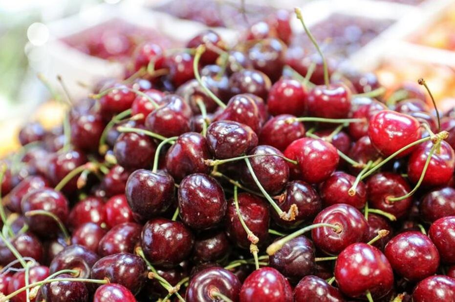    Сергей Булкин/NEWS.ru