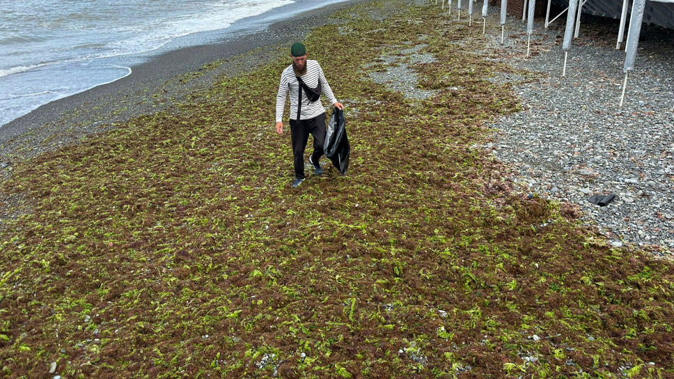 Фото: пресс-служба администрации Сочи