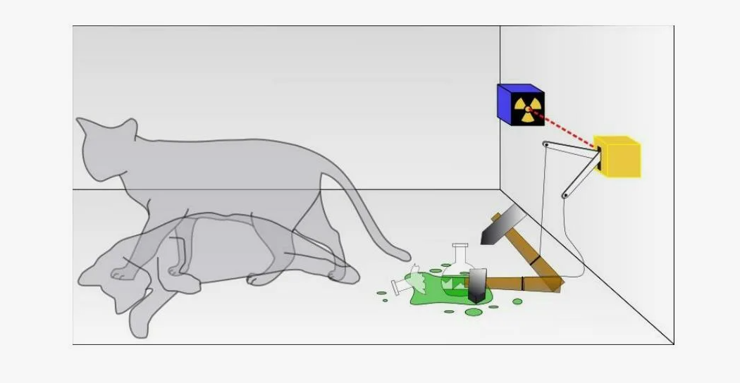 Кот Шрёдингера