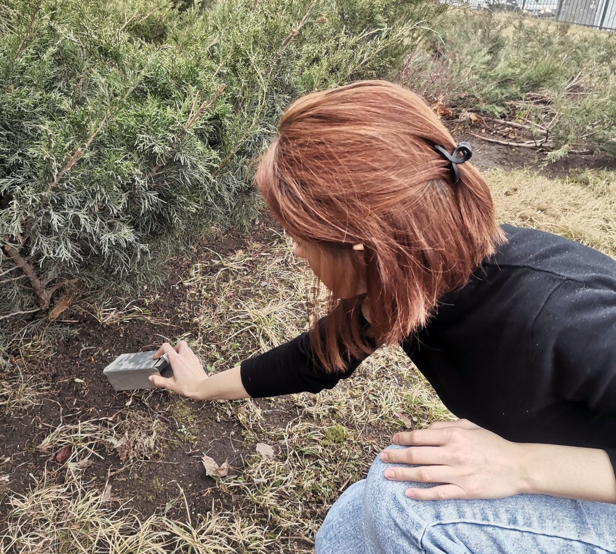    Установка ловушек в парке, осуществляемая Татьяной Кармановой / © Наталья Феоктистова, пресс-служба РНФ