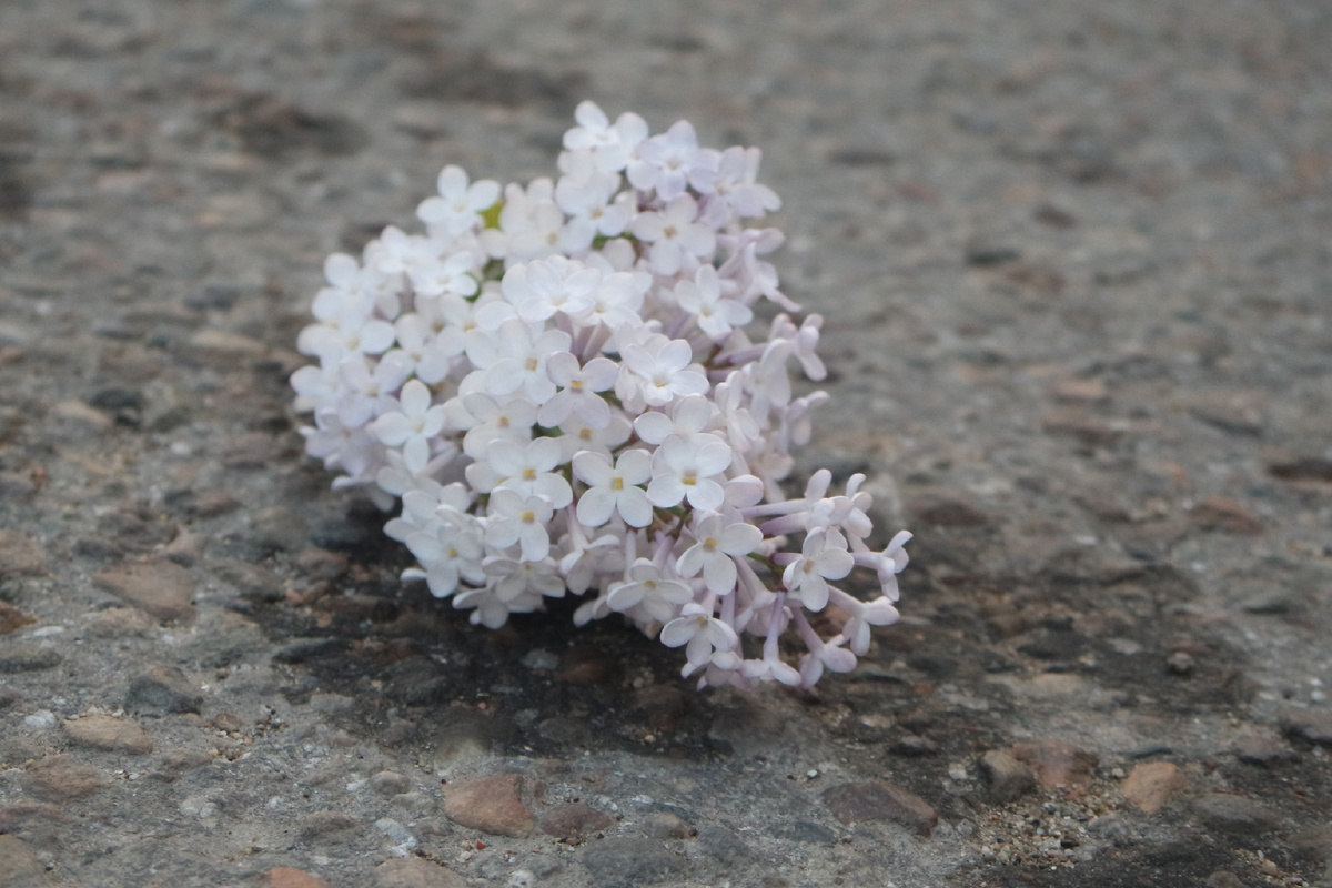 на улице Колхозной