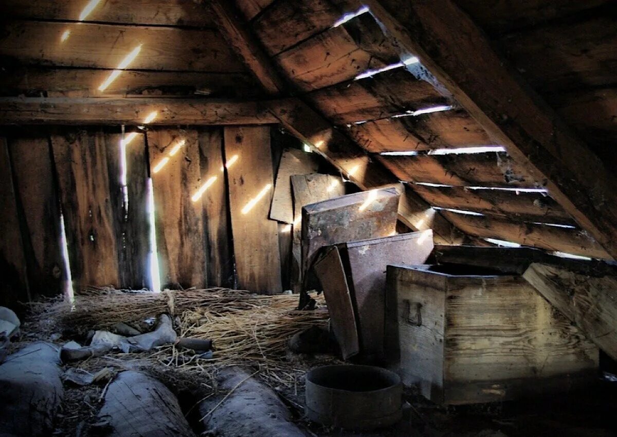 Изображение из открытых источников