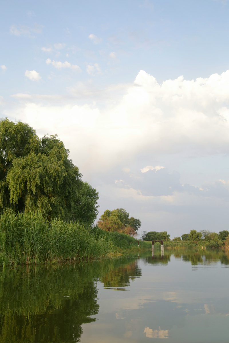 Река Кочеты