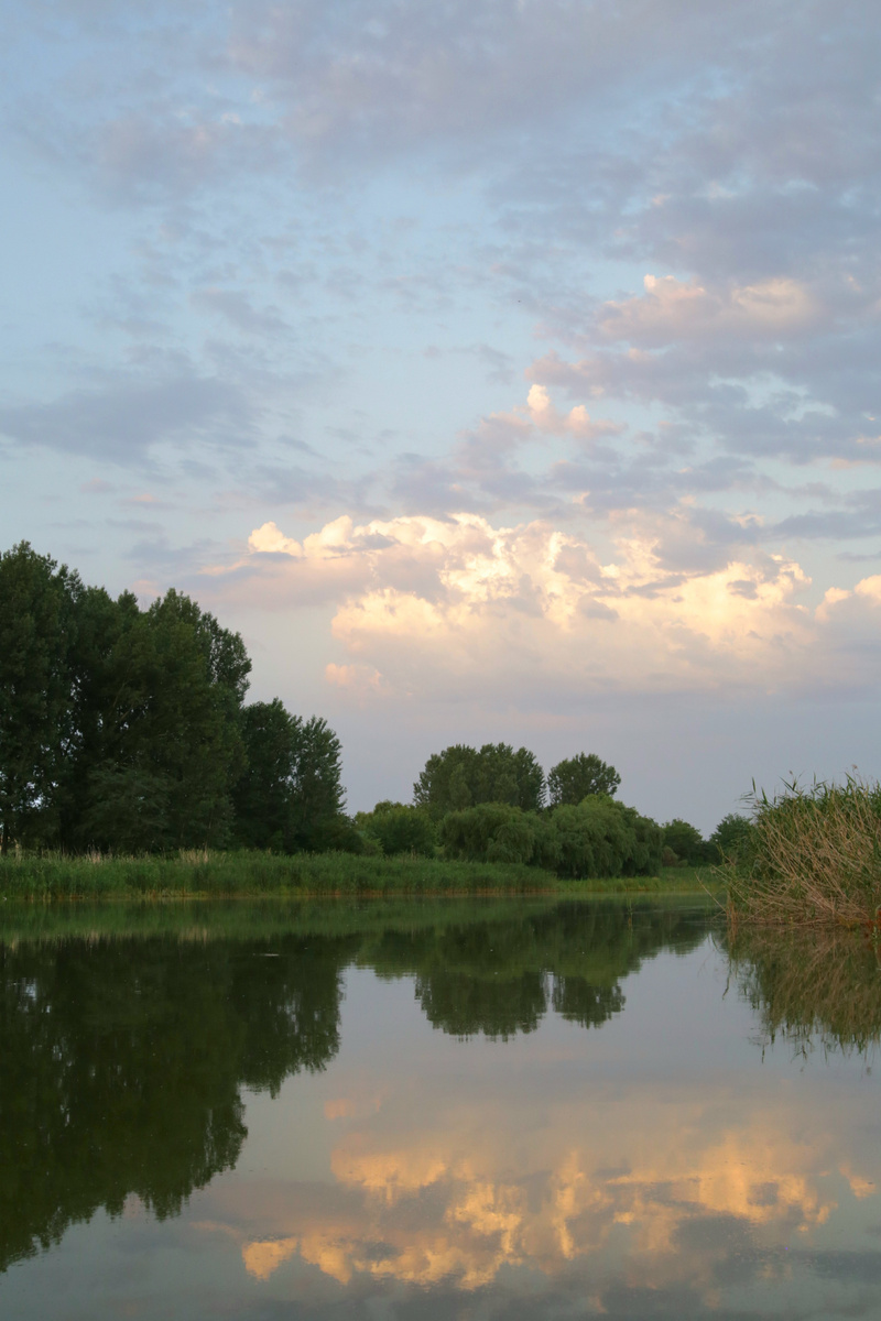 Река Кочеты. Фото из личного архива.
