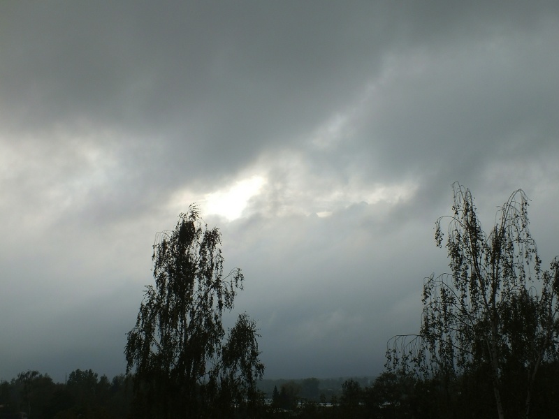    Фото: © Victor Lisitsyn/Globallookpress