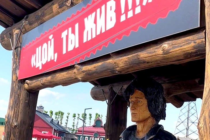    Фотографии и видео: Алина Кухмарь, VN.ru