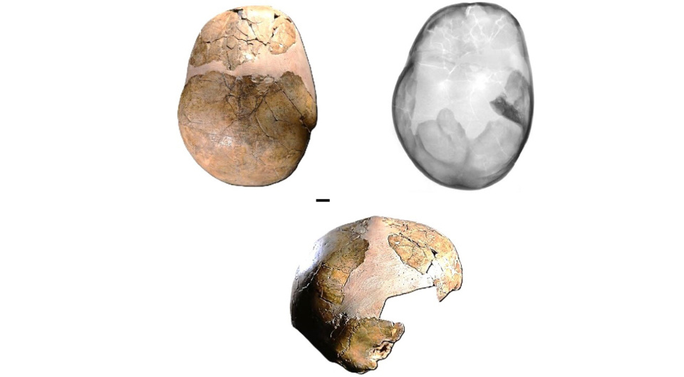   Bastien Bouvier et al. / L’Anthropologie, 2025